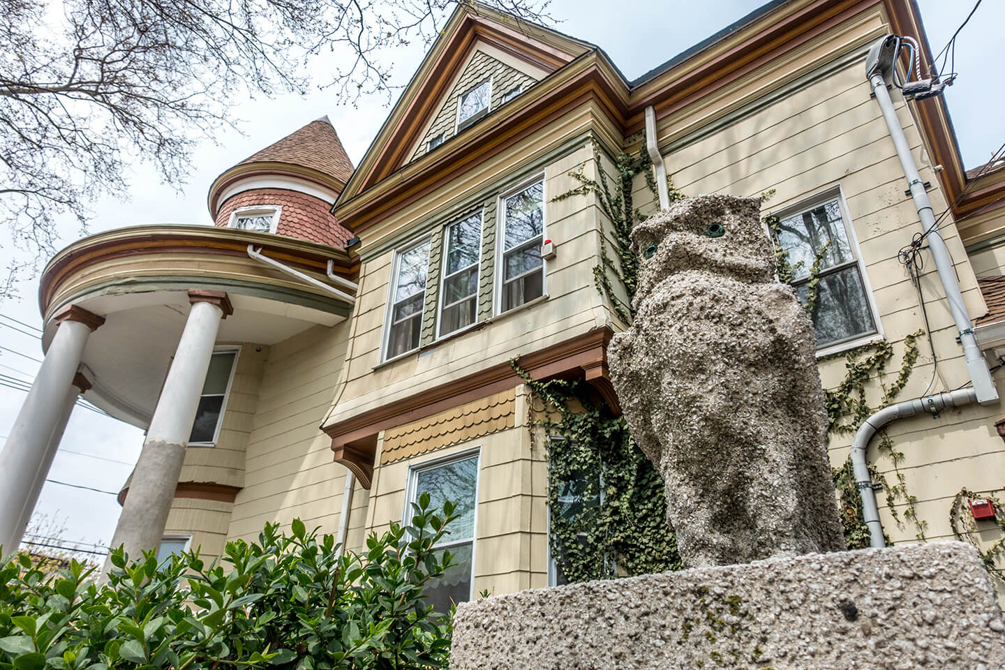 owl-with-house