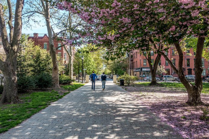 hamilton park jersey city spring