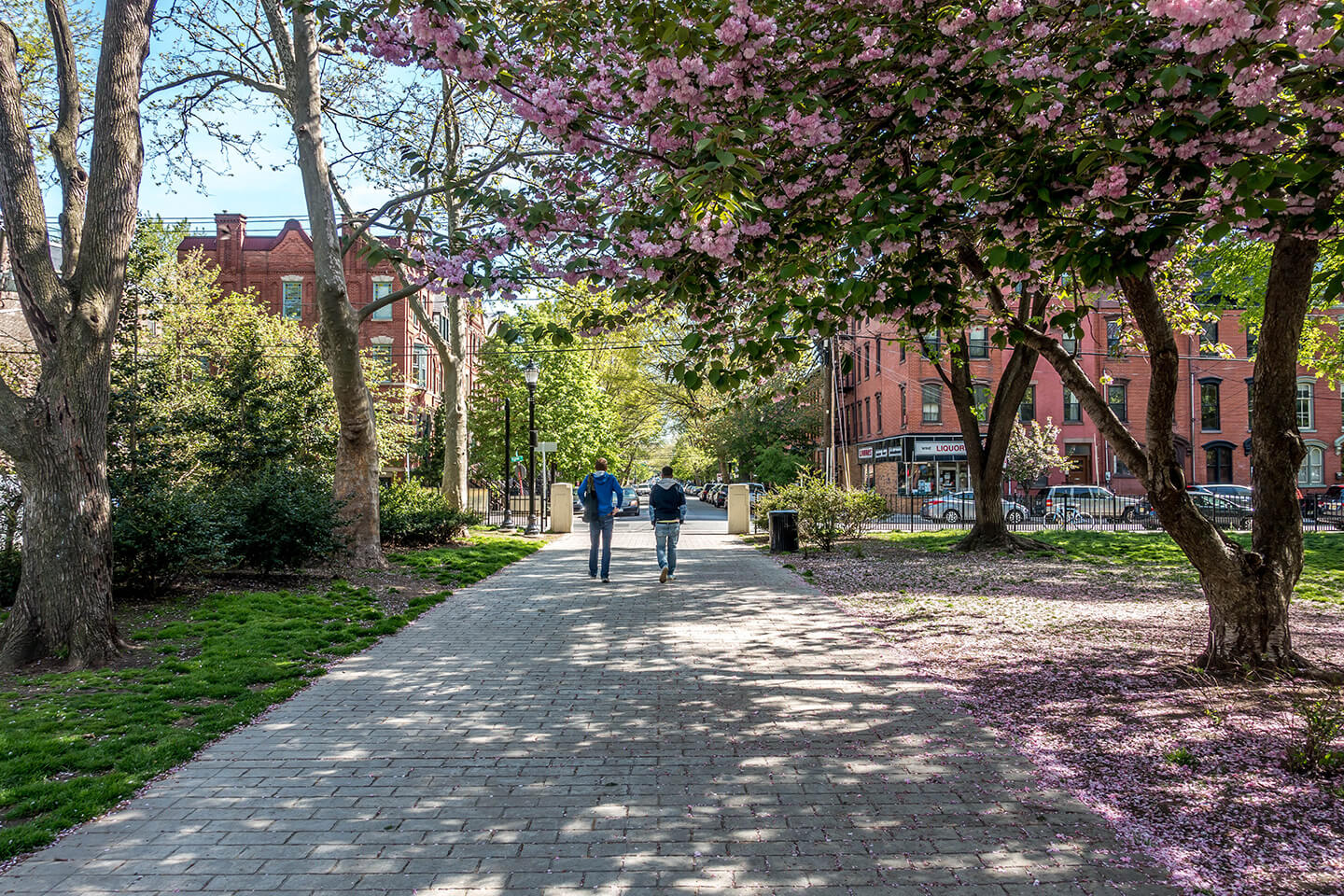 hamilton park jersey city spring