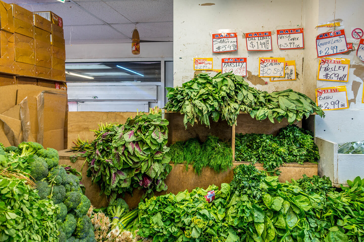 little-india-journal-square-jersey-city-greens-at-indian-grocery