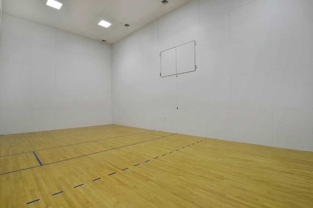 diddy mansion 207 anderson avenue alpine nj basketball
