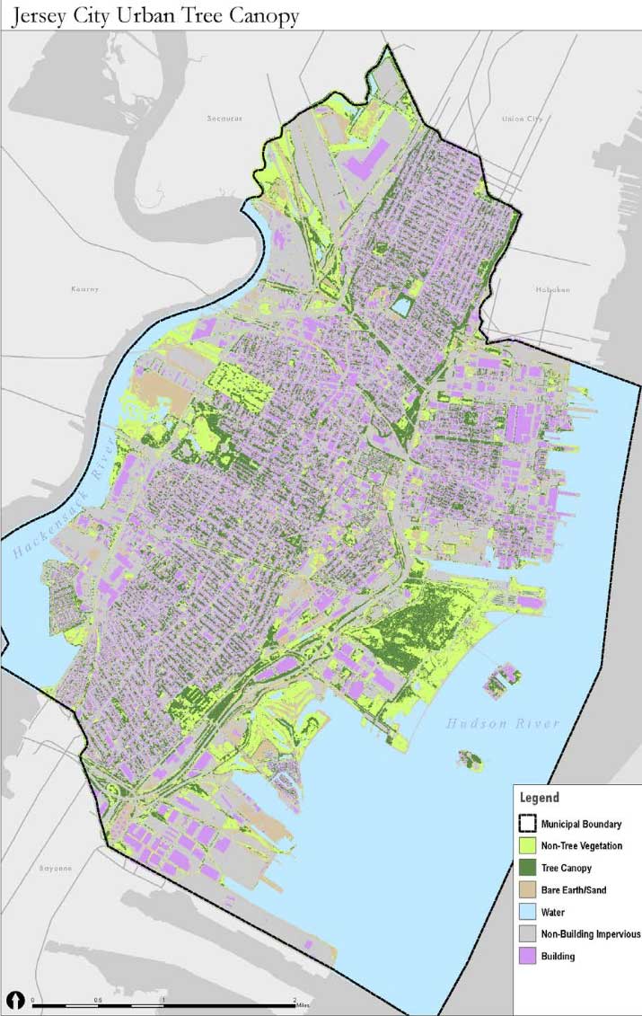 jersey city tree canopy study