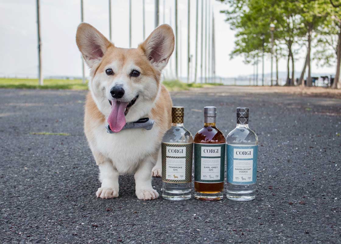 Corgi bergen lafayette jersey city distillery