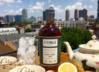 corgi gin jersey city