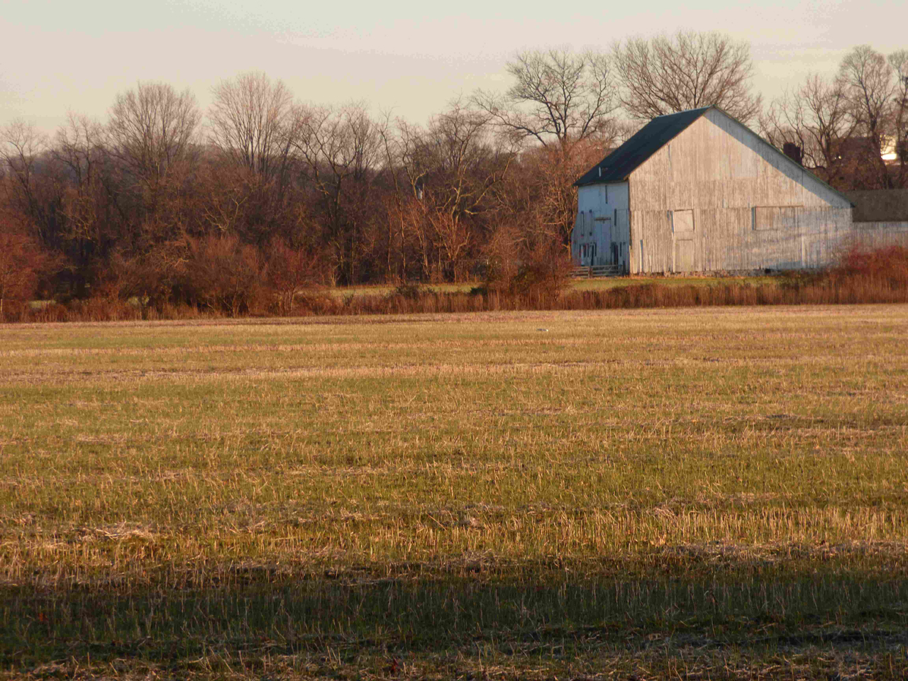 Hogan Farm Westhampton Shed Pnj