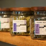 Nj Recreational Marijuana Law