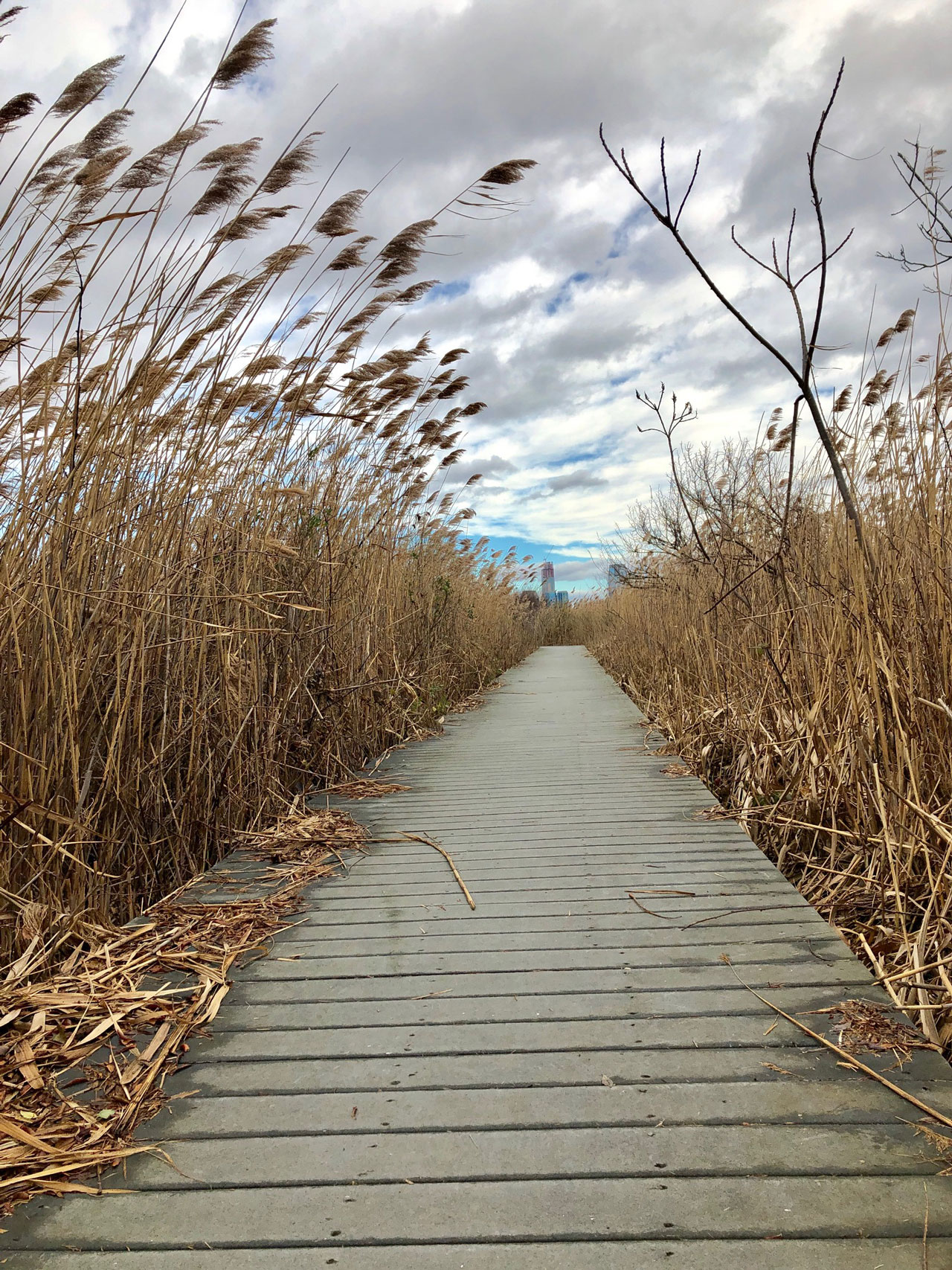 Liberty State Park Nature Walk Jersey City 1