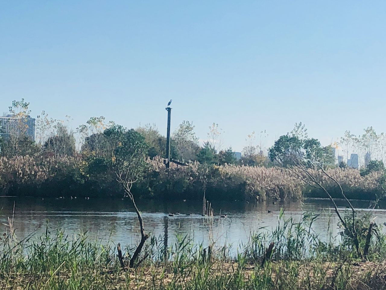 Liberty State Park Nature Walk Jersey City 12