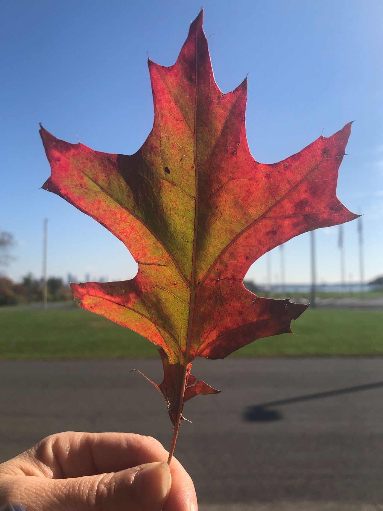 Liberty State Park Nature Walk Jersey City 14