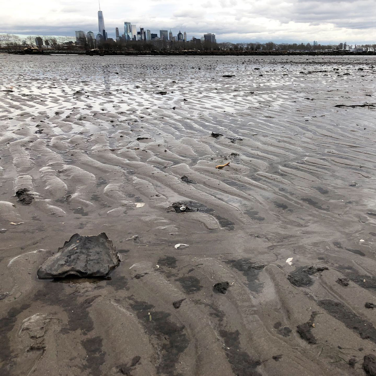 Liberty State Park Nature Walk Jersey City 2