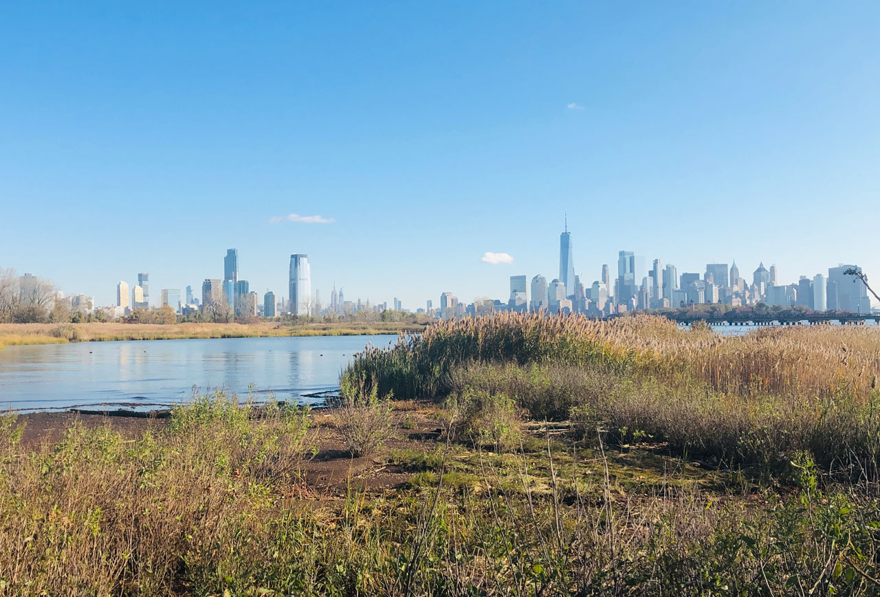 Liberty State Park Nature Walk Jersey City 3