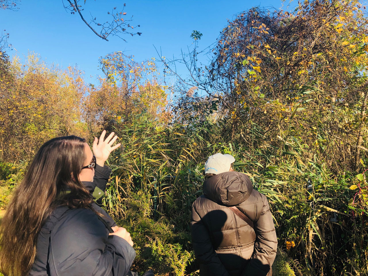 Liberty State Park Nature Walk Jersey City 4