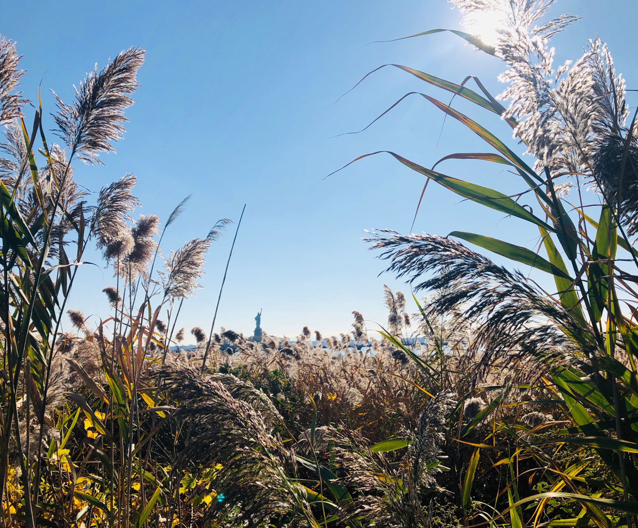 Liberty State Park Nature Walk Jersey City 8