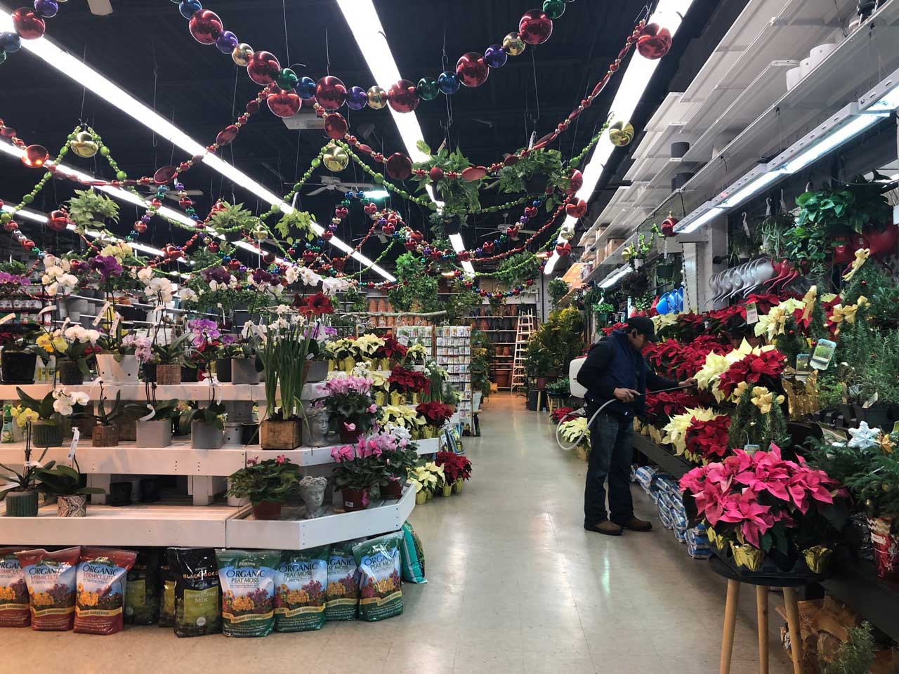 14th Street Garden Center 793 Jersey Avenue Jersey City 3