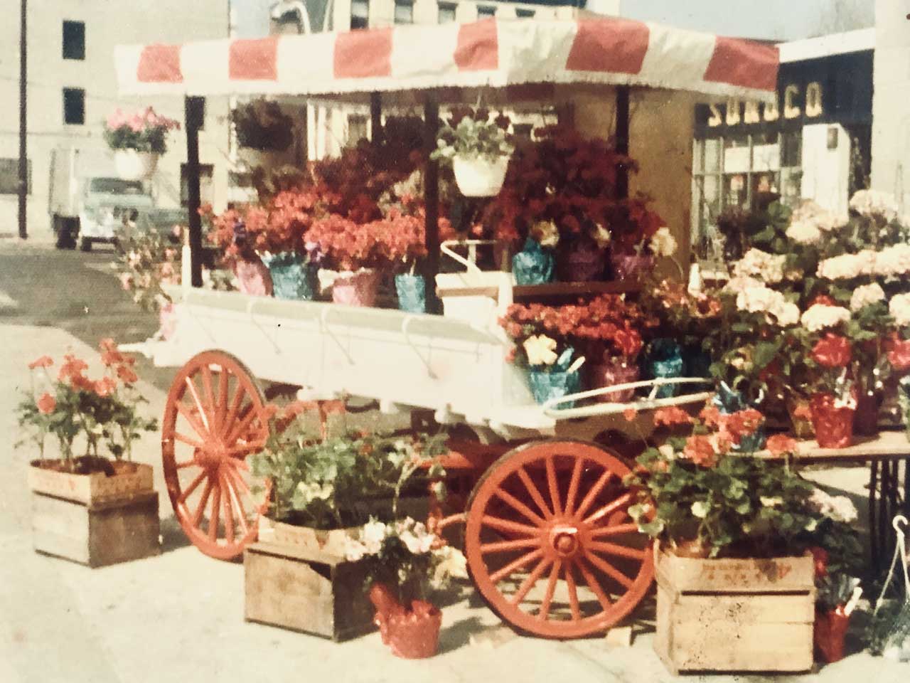 14th Street Garden Center 793 Jersey Avenue Jersey City 8