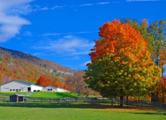 Equestrian Farm For Sale 315 Mattison Reservoir Ave Branchville Nj 3