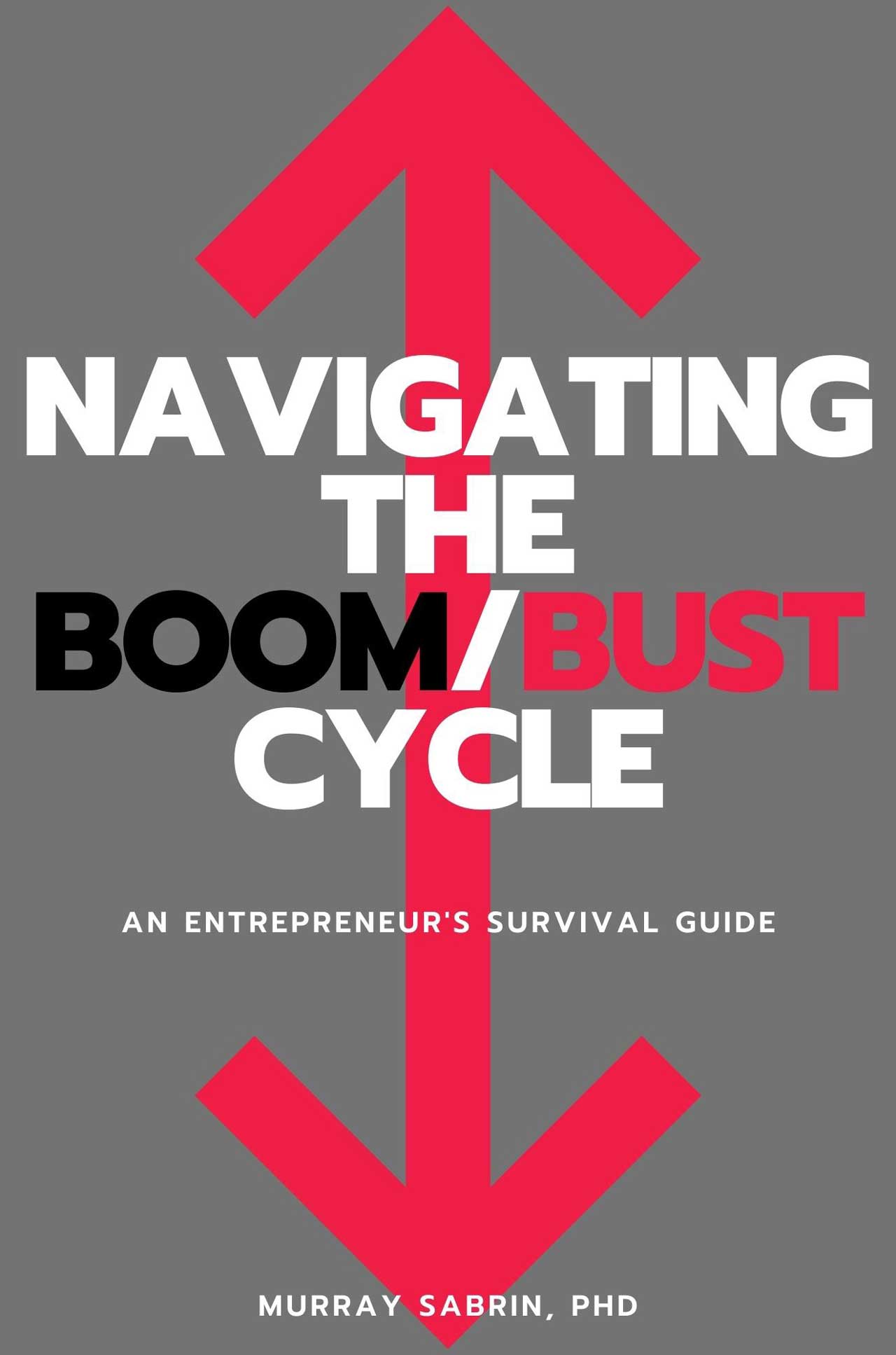 Navigating The Boom Bust Cycle Book