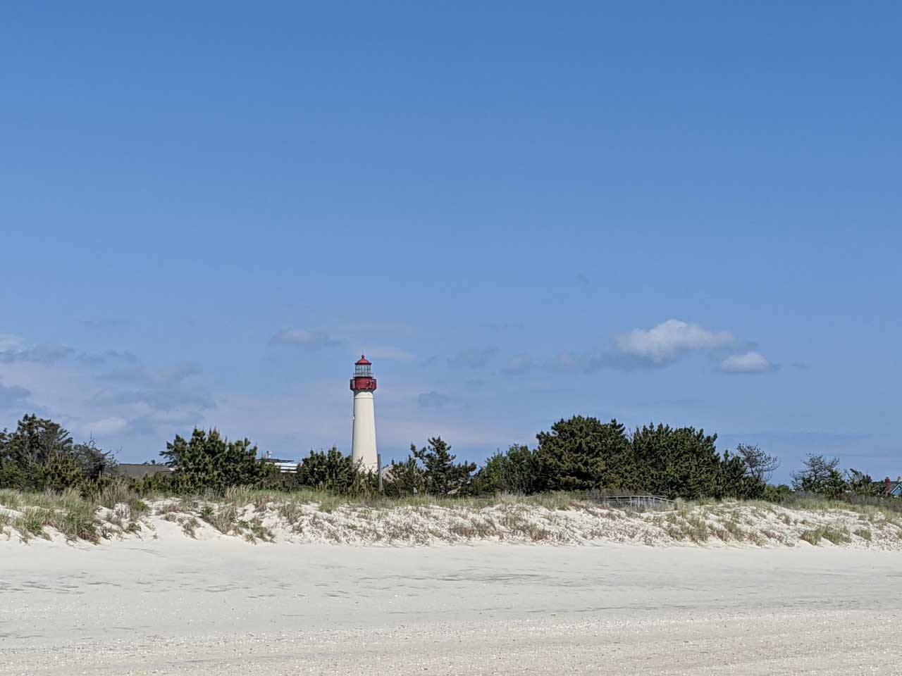 Cape May Point Nj Endangered 6027