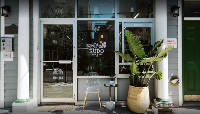 Rudo Plants Jersey City