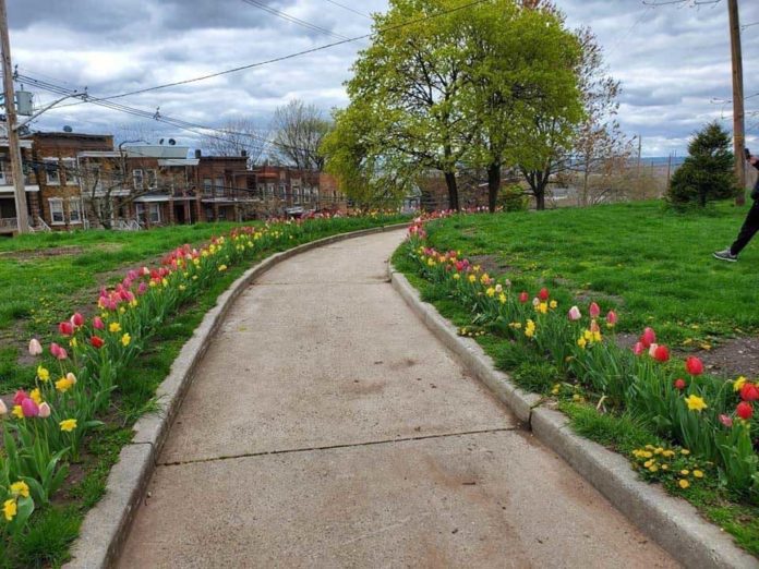 Covid Memorial Jersey City Heights