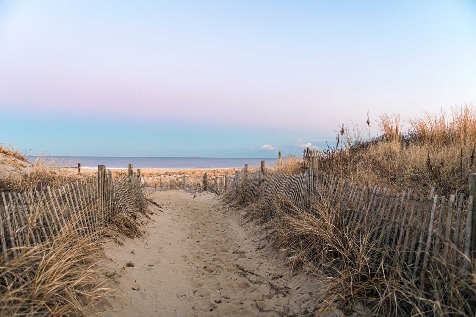 are dogs allowed on long branch beach