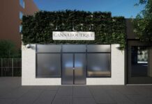 Cannaboutique Jersey City