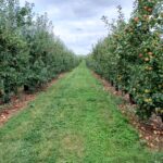 Alstede Farms Apple Picking Pyo