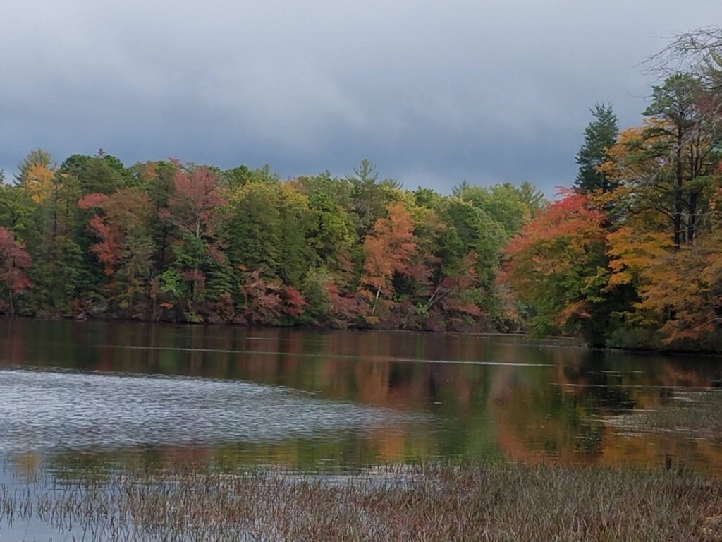 12 Beautiful Places to See Fall Foliage in New Jersey - 2024 UPDATE ...