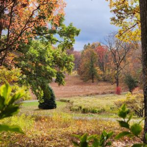 12 Beautiful Places to See Fall Foliage in New Jersey - 2024 UPDATE ...