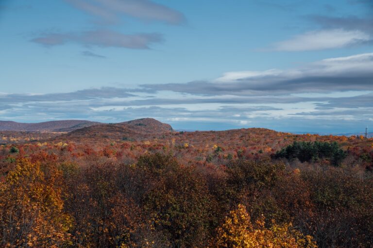 12 Beautiful Places to See Fall Foliage in New Jersey - 2024 UPDATE ...