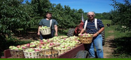 Sun High Orchards Apple Picking
