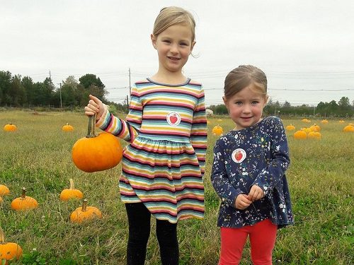 Terhune Orchards Pumpkin