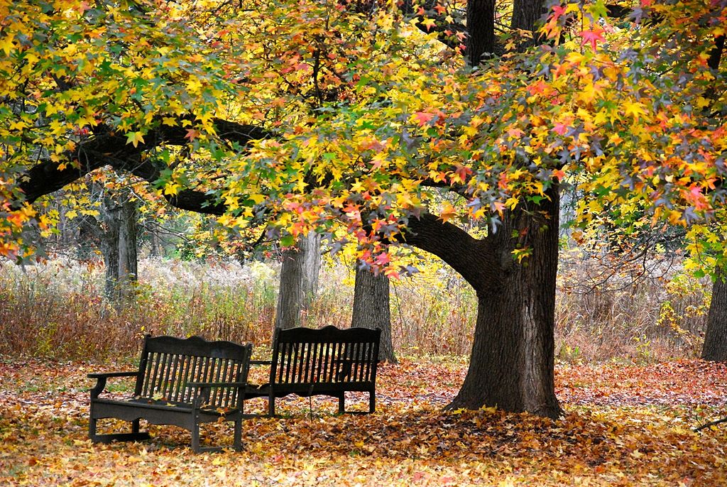 New Jersey Fall Activities