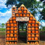 Happy Day Farm Pumpkin House