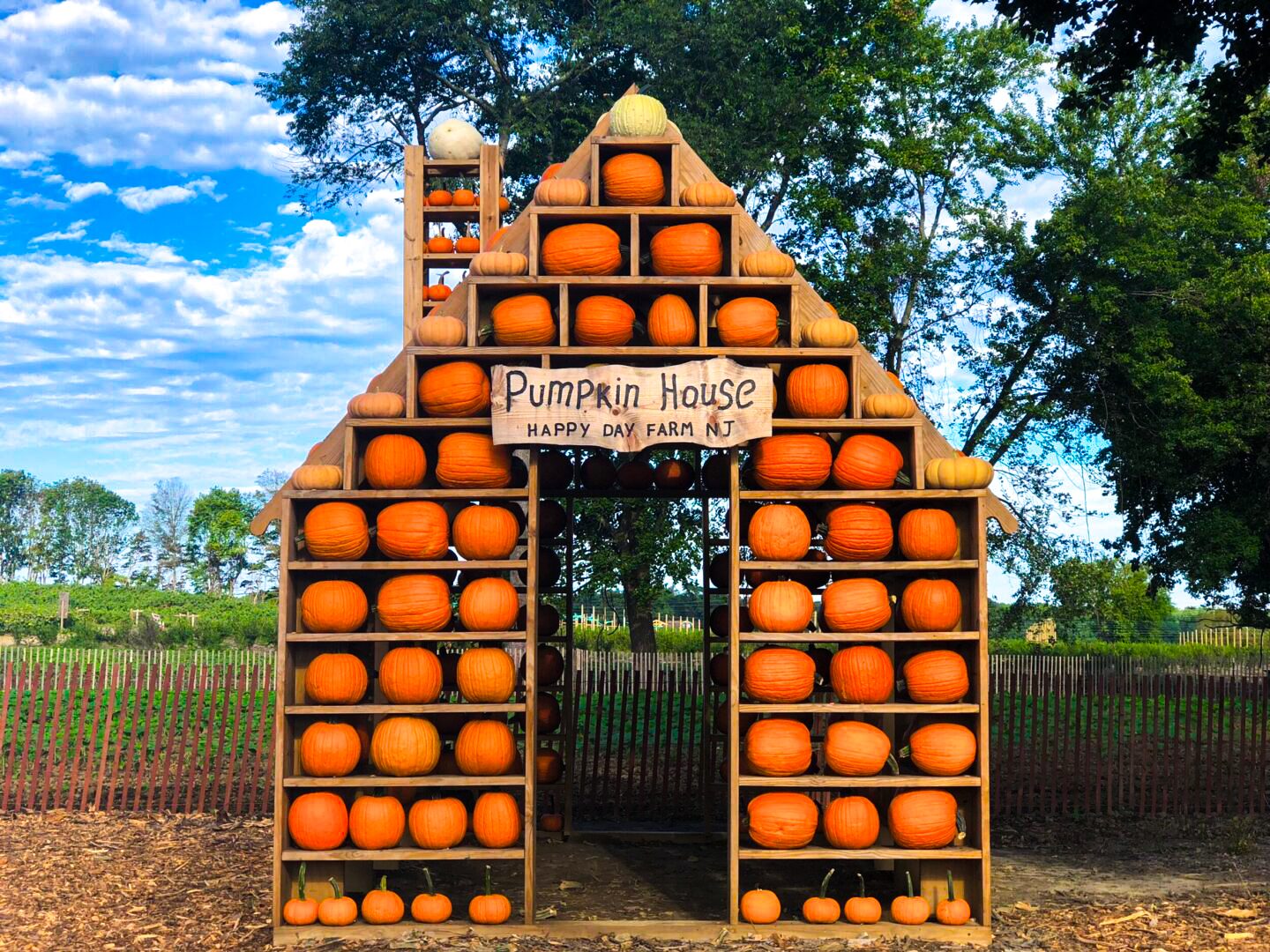 Happy Day Farm Pumpkin House
