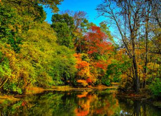 New Jersey Fall Foliage