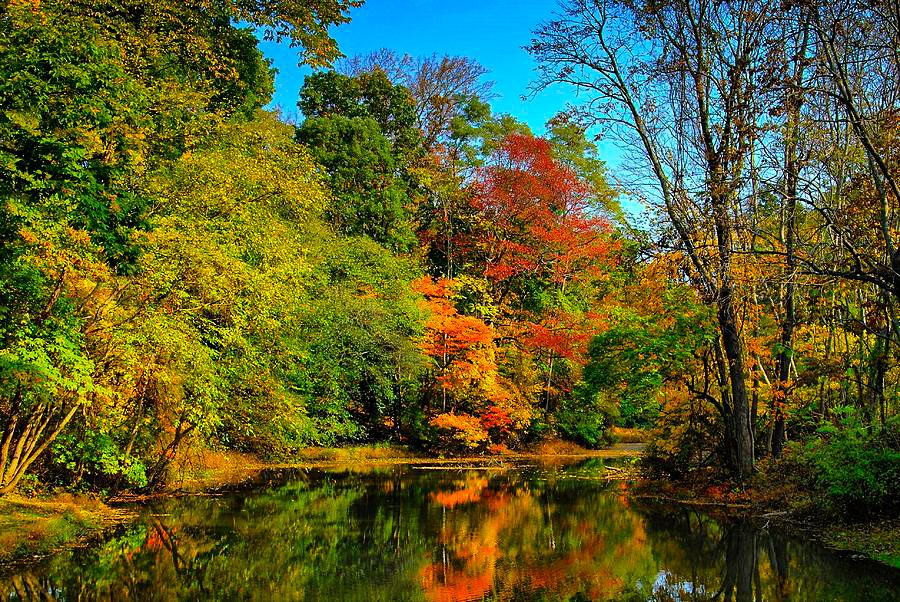 12 Beautiful Places to See Fall Foliage in New Jersey | Jersey Digs