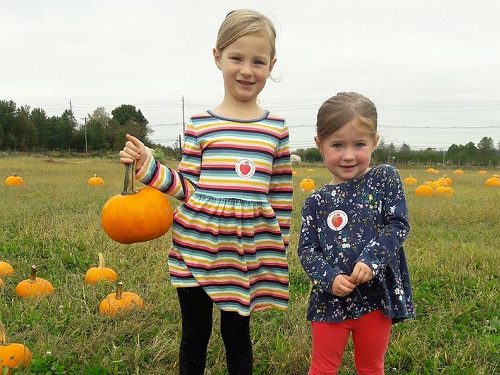 fall things to do in nj