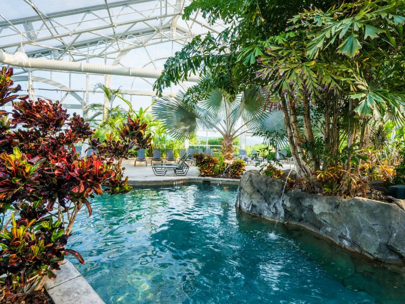 Tropical Biosphere Grand Cascades Lodge Pool 
