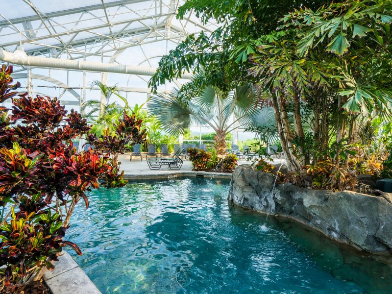 11 NJ Hotels With Indoor Pools You Ll Love Jersey Digs   Tropical Biosphere Grand Cascades Lodge Pool 