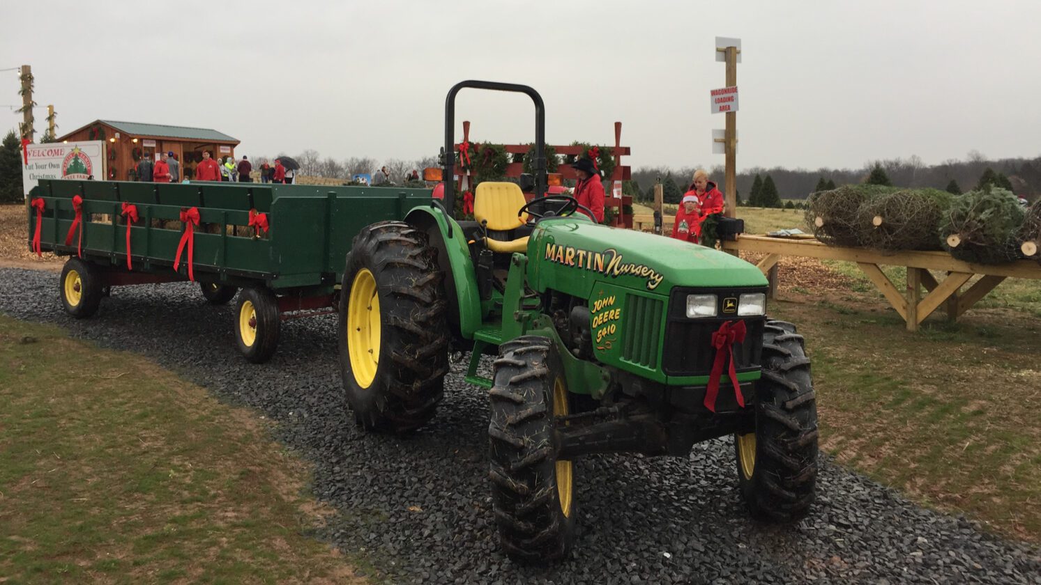 Your Holiday Guide to the Best NJ Christmas Tree Farms Jersey Digs