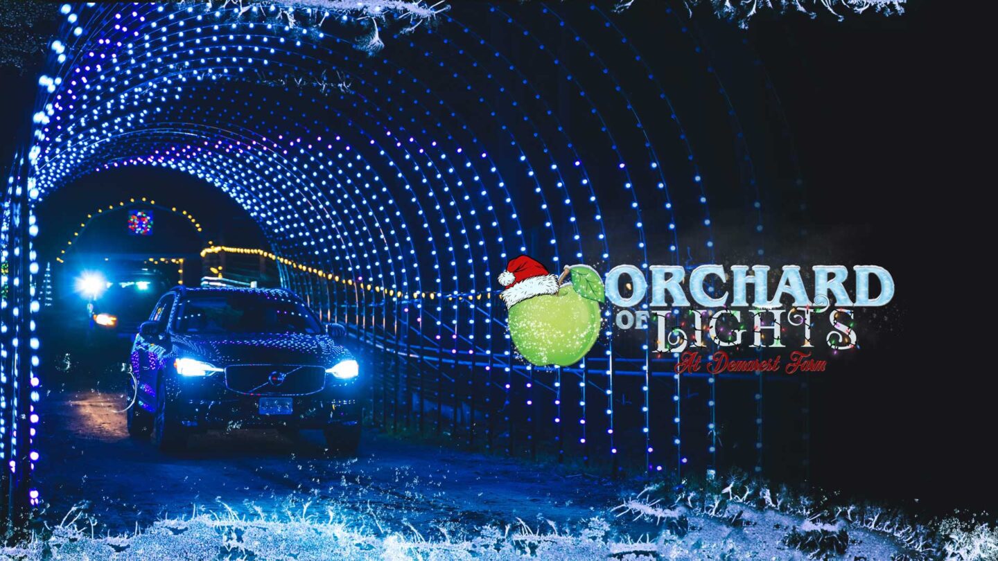 Orchard Of Lights Demarest Nj