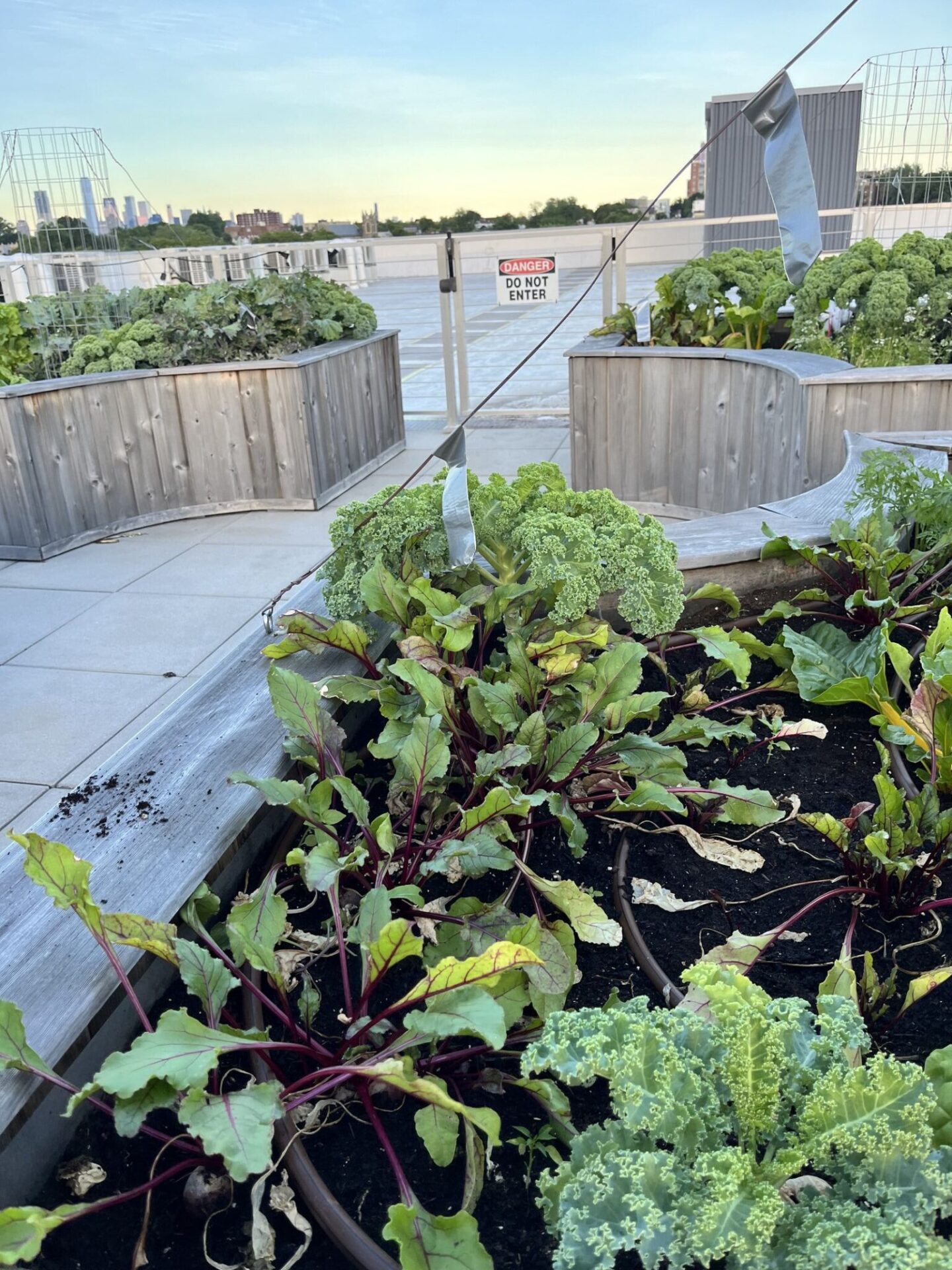 The Table Jersey City Rooftop 2