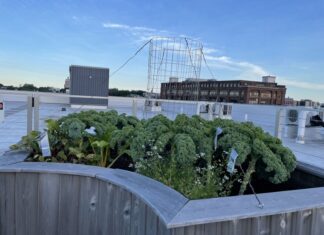 The Table Jersey City Rooftop 4