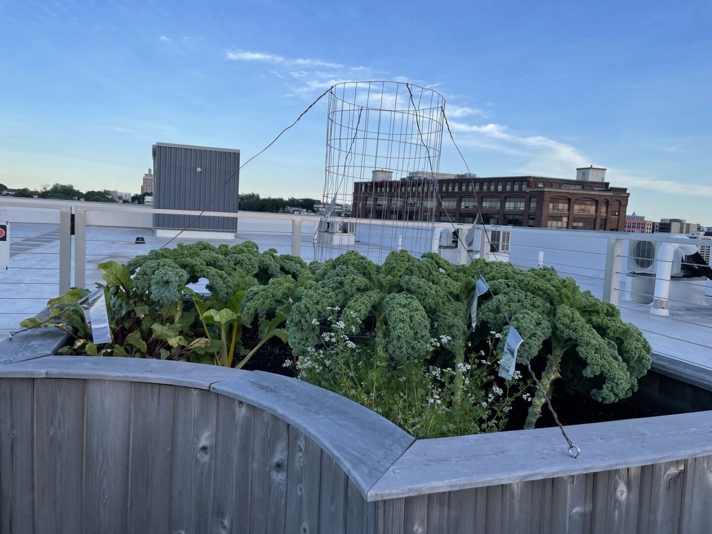 The Table Jersey City Rooftop 4