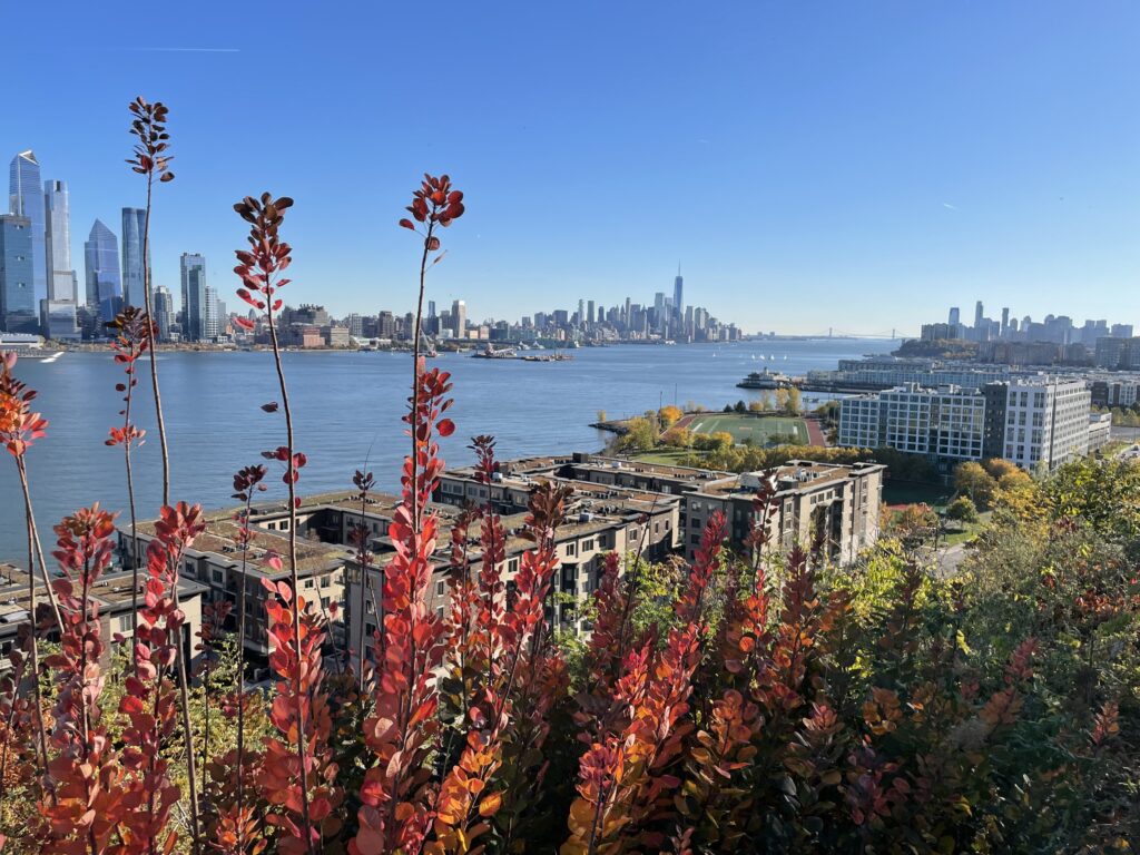 Cliffs in Weehawken