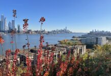 Cliffs in Weehawken