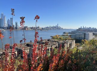 Cliffs in Weehawken