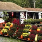 Alstede Farm Stand