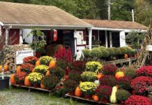 Alstede Farm Stand